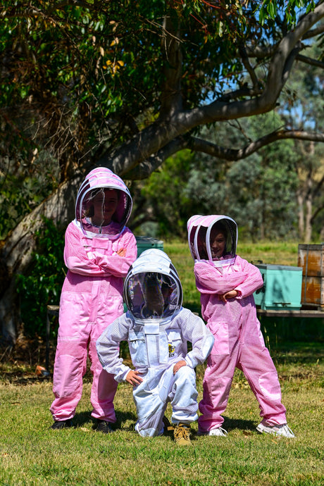 Top 10 reasons to get kids into Beekeeping.